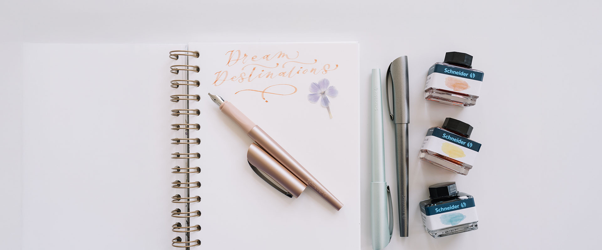 Header-Callissima-1920x800