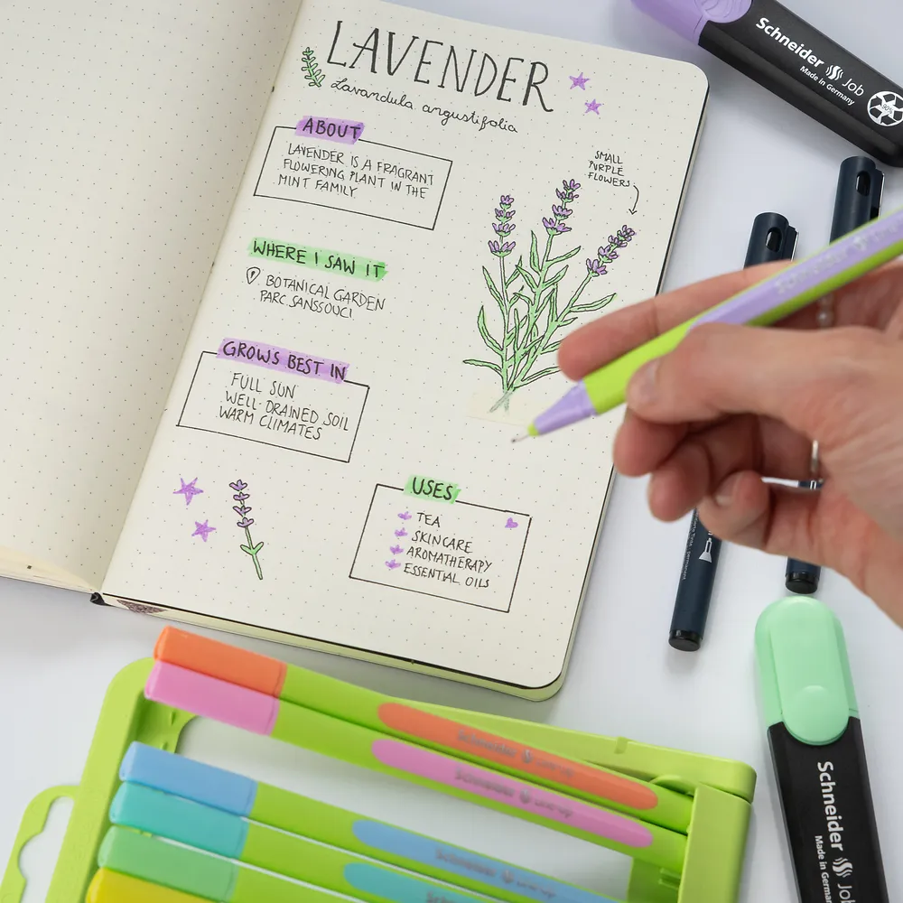 Journal Set Creative