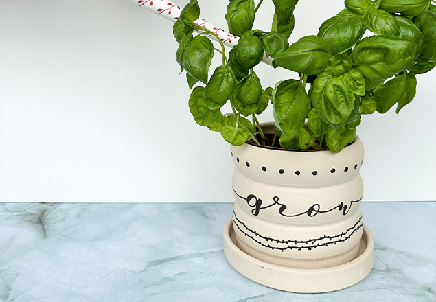 DIY-Blumentopf-Nachspann