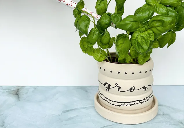 DIY-Blumentopf-Nachspann